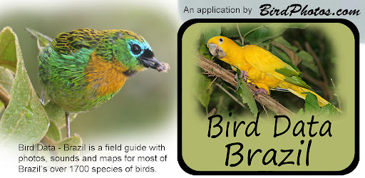 Bird Data - Brazil