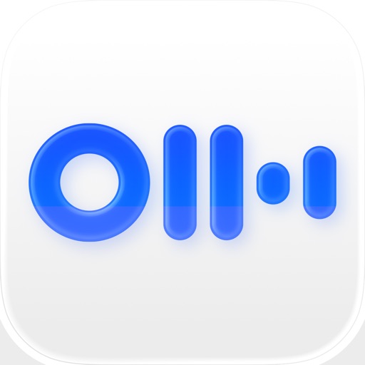 Otter Transcribe Voice Notes