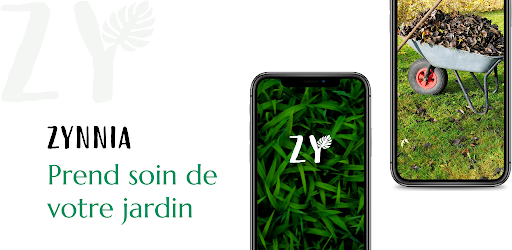 Zynn